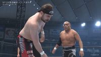 Wrestle Kingdom 14